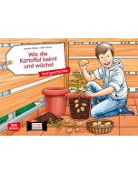 Wie die Kartoffel keimt und wächst. Kamishibai Bildkartenset.