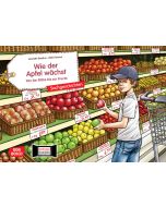 Wie der Apfel wächst. Von der Blüte bis zur Frucht. Kamishibai Bildkartenset