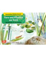 Tiere und Pflanzen am Teich. Kamishibai-Bildkartenset.