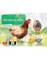 Wie lebt das Huhn? Kamishibai Bildkartenset
