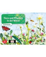 Tiere und Pflanzen in der Wiese. Kamishibai Bildkartenset