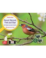 Amsel, Drossel, Fink und Star. Die Vögel in unserem Garten. Kamishibai Bildkarten und Memo-Spiel
