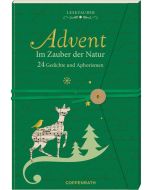 Brief-Adventskalenderbuch – Advent im Zauber der Natur