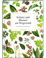 Kräuter und Blumen am Wegesrand