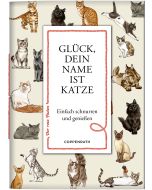 Glück, dein Name ist Katze
