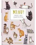 MIAU! - Engel auf Samtpfoten