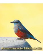 Münsterschwarzacher Bildkalender 2026