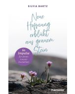 Neue Hoffnung erblüht aus grauem Stein