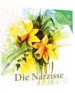 Die Narzisse