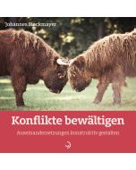 Konflikte bewältigen