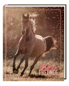 Freundebuch – Beste Freunde