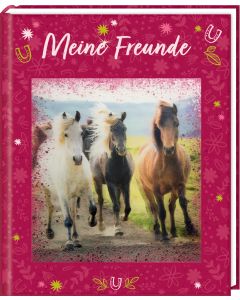 Freundebuch – Meine Freunde