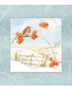 Wand-Adventskalender – Wintermorgen mit Rotkehlchen