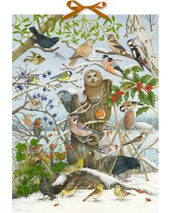 Sound-Adventskalender – Unsere Vögel im Winter