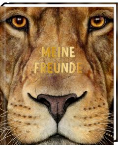 Freundebuch – Meine Freunde