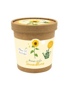 Meine erste Sonnenblume