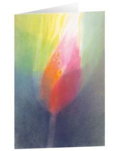 Kunstkarten "Knospe" 5 Stk.