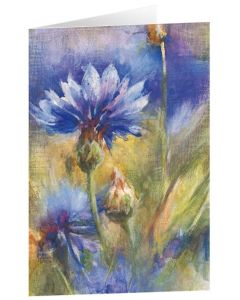 Kunstkarten "Kornblumen" 6 Stk.