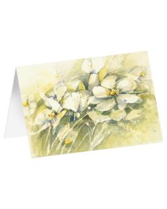 Kunstkarten "Weiße Anemonen" 6 Stk.