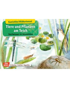 Tiere und Pflanzen am Teich. Kamishibai-Bildkartenset.