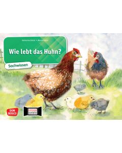 Wie lebt das Huhn? Kamishibai Bildkartenset