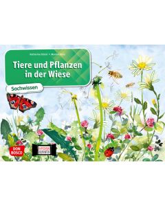 Tiere und Pflanzen in der Wiese. Kamishibai Bildkartenset