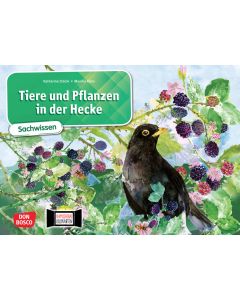 Tiere und Pflanzen in der Hecke. Kamishibai Bildkartenset