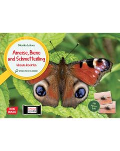 Ameise, Biene und Schmetterling. Unsere Insekten. Kamishibai Bildkarten und Memo-Spiel