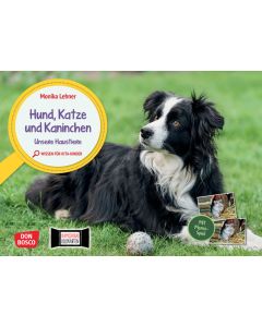 Hund, Katze und Kaninchen. Unsere Haustiere. Kamishibai Bildkarten und Memo-Spiel