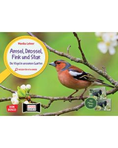 Amsel, Drossel, Fink und Star. Die Vögel in unserem Garten. Kamishibai Bildkarten und Memo-Spiel