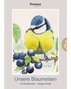 Unsere Blaumeisen