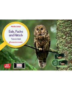 Eule, Fuchs und Hirsch. Tiere im Wald