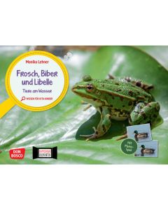 Frosch, Biber und Libelle. Tiere am Wasser. Kamishibai Bildkarten und Memo-Spiel
