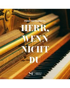 Herr, wenn nicht du