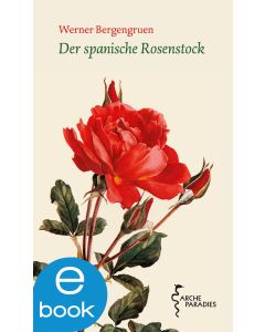 Der spanische Rosenstock