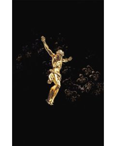 Hoffnung für alle. Die Bibel - "Golden Jesus Edition"