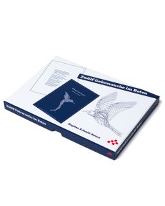 Zwölf Gehversuche im Beten