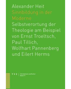 Sinnbildung in der Moderne