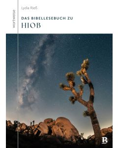 Das Bibellesebuch zu Hiob
