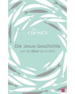 Die Jesus-Geschichte