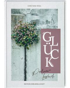 Das Glück sucht uns. Psalmen-Lesebuch. Mit christlicher Spiritualität Kraft finden: Psalmen und biblische Texte neu entdecken. Bibelverse zum Nachdenken