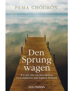 Den Sprung wagen