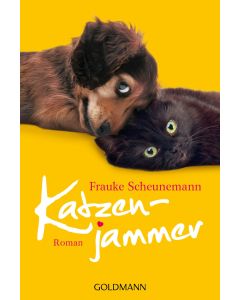 Katzenjammer