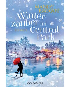 Winterzauber im Central Park