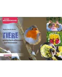 Kleine Waldentdecker: Tiere