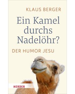 Ein Kamel durchs Nadelöhr?