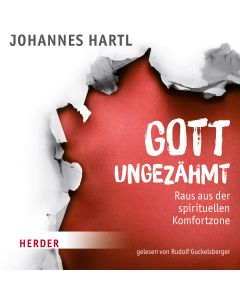 Gott ungezähmt