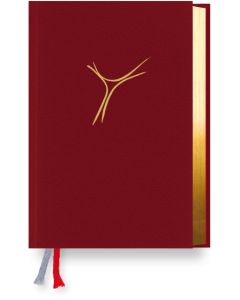 Gotteslob Bistum Essen. Cabra weinrot, Goldschnitt.