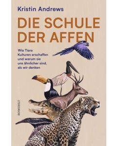 Die Schule der Affen