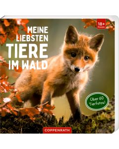 Meine liebsten Tiere im Wald
